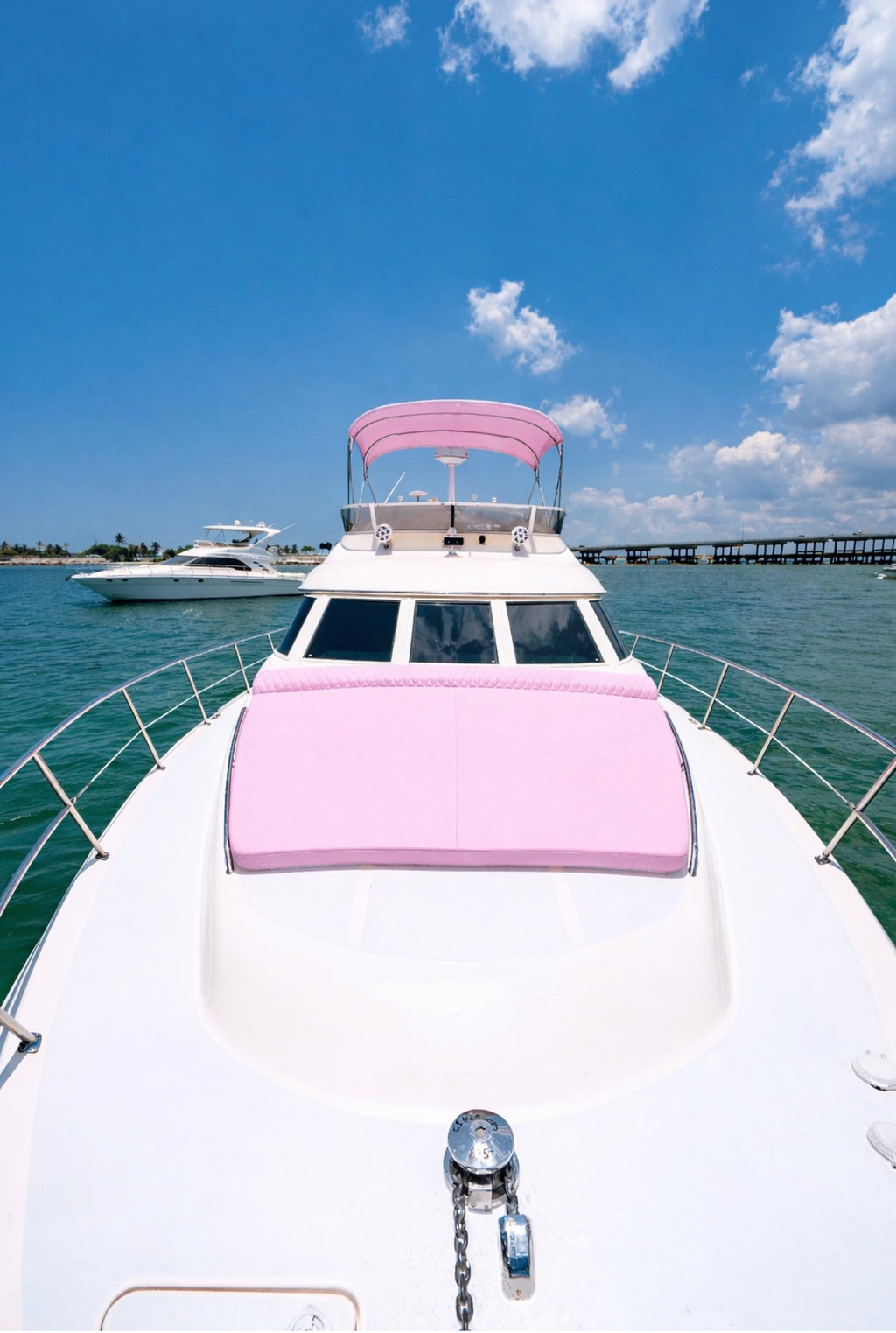 55ft - PINK PACKAGE